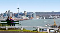 Auckland Shore Excursion: Half-Day Guided City Tour