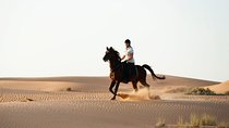 Horseback Riding in Dubai Desert with Transfers