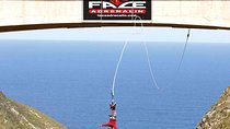 3 Day Big 5 and Bungee Tour - Garden Route Small Group Tour from Cape Town