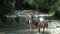  Manuel Antonio National Park by Horseback Riding Tour