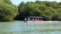 Damas Island by Boat Tour From Manuel Antonio