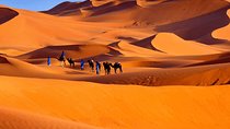 5 Days ( Desert Sahara Tour and Mount Toubkal Trek From Marrakech )