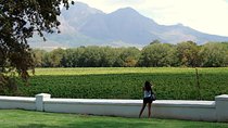 African Story Wine Tours in the Cape Winelands