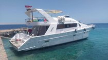 Private Snorkeling Boat Trip To Dolphin House From Hurghada