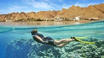 Port Ghalib day snorkeling excursion