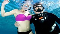 Hurghada: Full-Day Scuba Diving Adventure Tour with Lunch