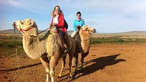 2 Day Semi-Gobi Tour with nomads And Free Camel Ride