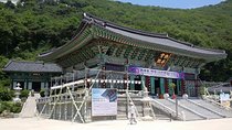Private Trip to Seongmo Island(Temple) and North Korea Observatory+Kimchi Lesson
