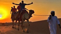Morning Desert Safari:Dune Bashing Experience with Camel Ride