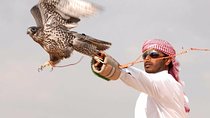 Private Desert Safari with Private Falcon Show with Sunset setup experience