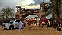Desert Safari Evening Tours:- Special Rides, BBQ Buffet ,Live Entertainment 