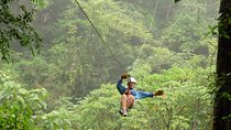 Adventure Zip Lining at the Cloud Forest from San José