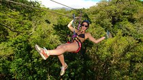 Buena Vista Combo Tour: Ziplining and Hot Springs from Guanacaste