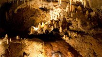 Treasures of Barbados Cave and Plantation Sightseeing Tour