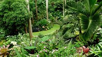 Hunte's Garden and St Nicholas Abbey small group Barbados tour
