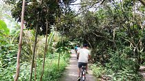 Private tour: Biking and Sightseeing tour In Cai Be, Mekong Delta