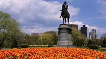 Private Customized Walking Tour of Boston