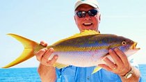 Marathon Reef Fishing Charters