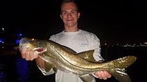 Biscayne Bay Night Fishing Charters