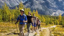 Banff National Park Guided Hike with Lunch