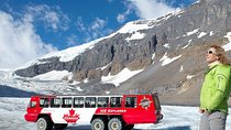 Athabasca Glacier Snow Trip from Banff