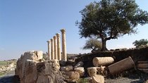 Private Guided Umm Quais and Jerash tour with lunch