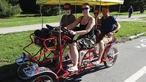 San Francisco: Scenic Surrey Ride Through Golden Gate Park