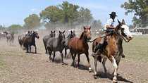 Gaucho Experience: A Day Trip to Don Silvano Ranch