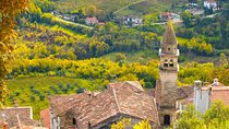 Half day trip to Motovun with Local Brandies Tasting