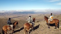 Uco Valley Horseback Riding Tour with Traditional Argentine Lunch