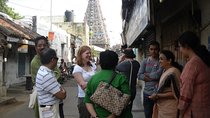 Private Peacock Trail Walking Tour in Mylapore