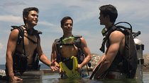 Full-Day Anilao Diving Package from Manila