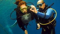 Discover Scuba