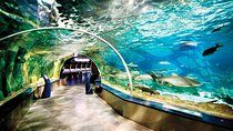 Istanbul Aquarium and Aqua Florya Independent Shopping Trip
