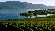 West Kelowna Wine Tour - Classic - 4 Wineries