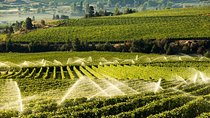 West Kelowna Wine Tour - Classic - 6 Wineries