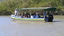 Jungle River Cruise and coffee tour