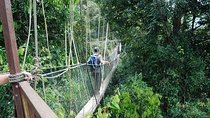 4-Day Jungle Experience in Taman Negara from Kuala Lumpur