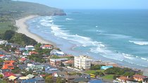 Private Guided Tour of Dunedin City Heritage and Unique Wildlife and Scenery