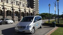 Half day Private Tour of Dunedin City Highlights and Peninsula Scenery