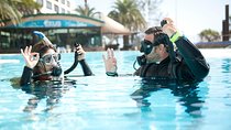 Try Scuba Diving Experience: Sydney