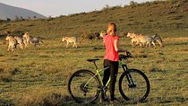 1 day Walking and Bike Safari in Arusha National Park