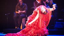 Seville Pure Flamenco Tour