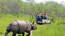 7 Nights 8 days Kathmandu Pokhara and Chitwan Tour in Nepal
