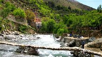 A Half-day Excursion To Ourika Valley