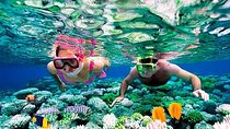 Riviera Maya Snorkeling