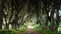Game of Thrones and Giant's Causeway Day Tour from Belfast