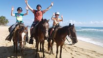 Horseback Riding on the Beach Free Transportation