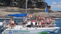 Most Famous Catamaran in Tenerife Island (2 hours and 3 hours tours)