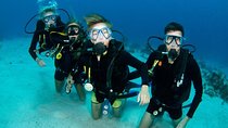 Punta Cana: PADI Open Water Scuba Certification (2–3 Days)